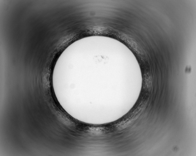 X0000103910450200810101311