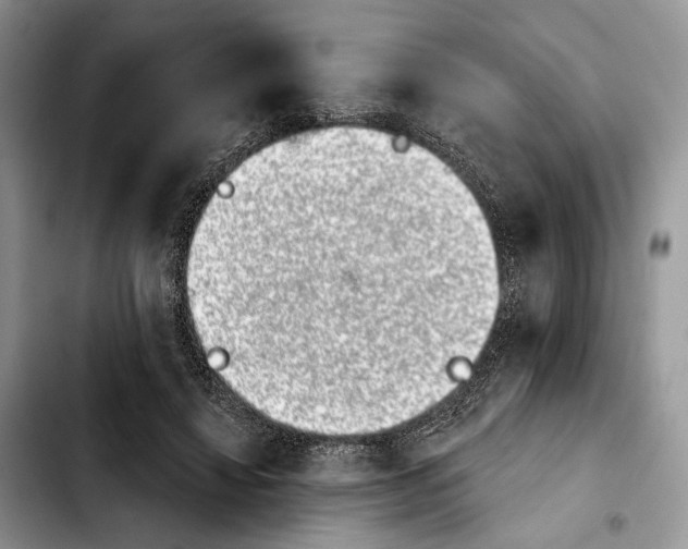 X0000103910452200810101311