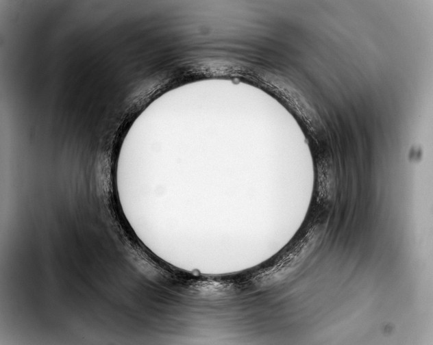 X0000103910453200810101311