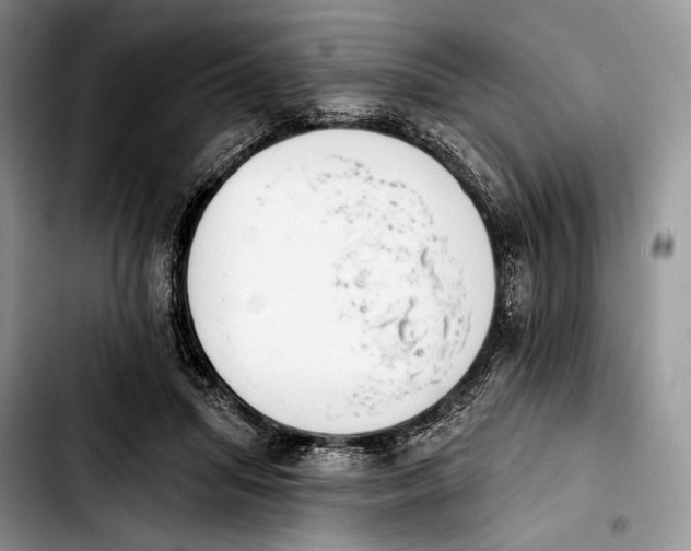 X0000103910455200810101311