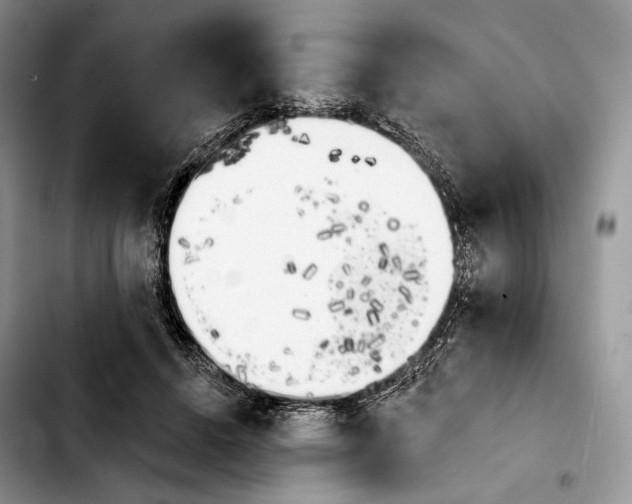 X0000103910456200810101311