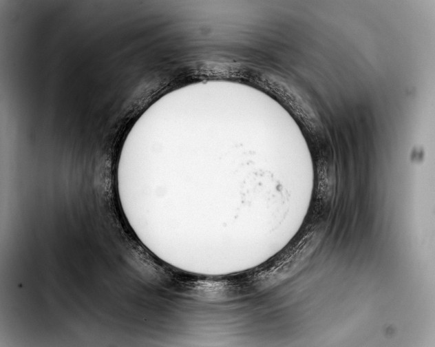 X0000103910457200810101311