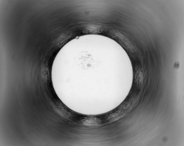 X0000103910459200810101311