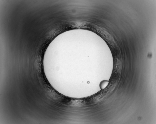 X0000103910461200810101311