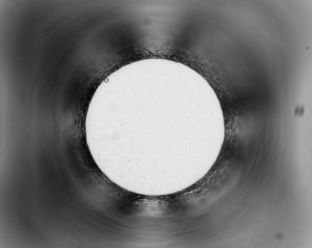 X0000103910464200810101311