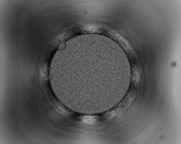 X0000103910465200810101311