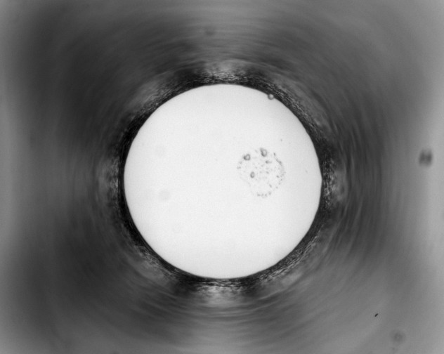 X0000103910466200810101311