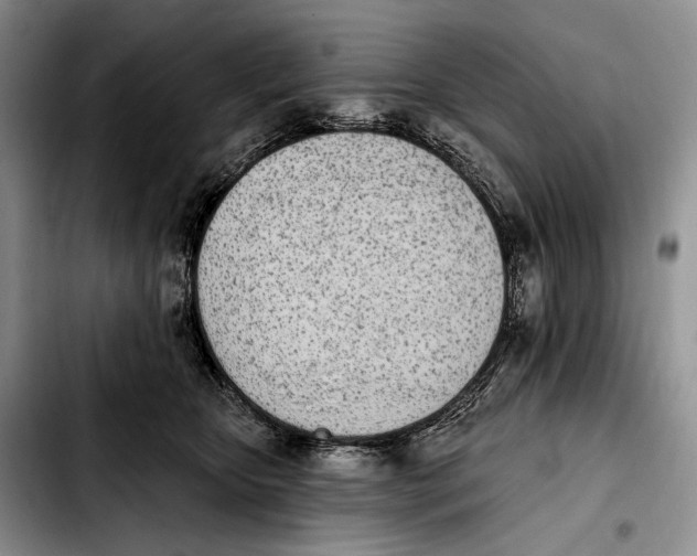 X0000103910467200810101312