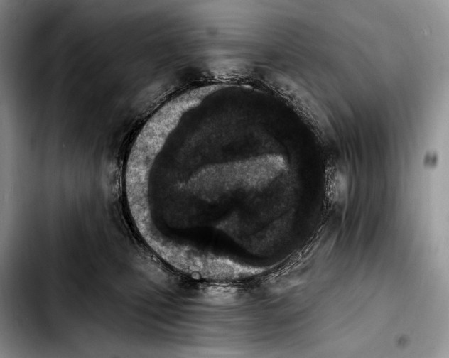 X0000103910471200810101312