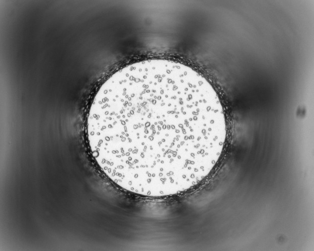 X0000103910472200810101312