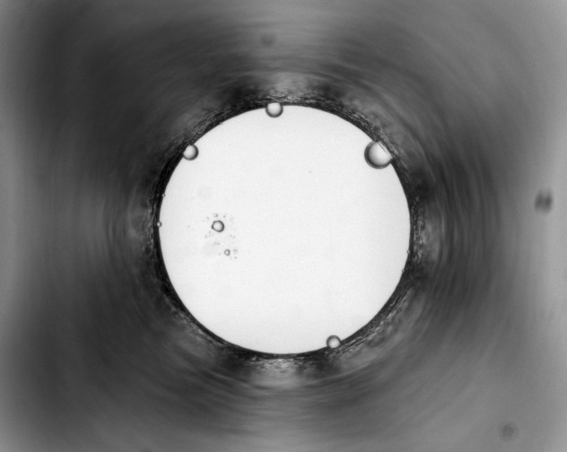 X0000103910473200810101312