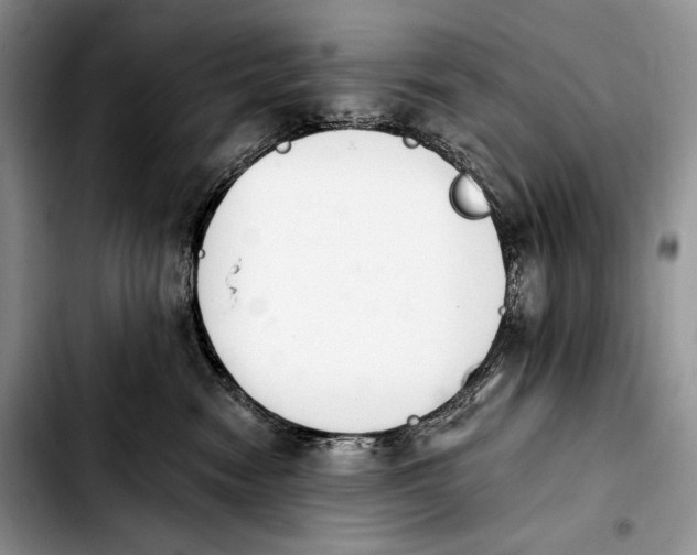 X0000103910474200810101312