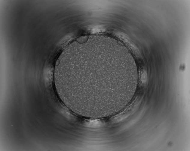 X0000103910475200810101312