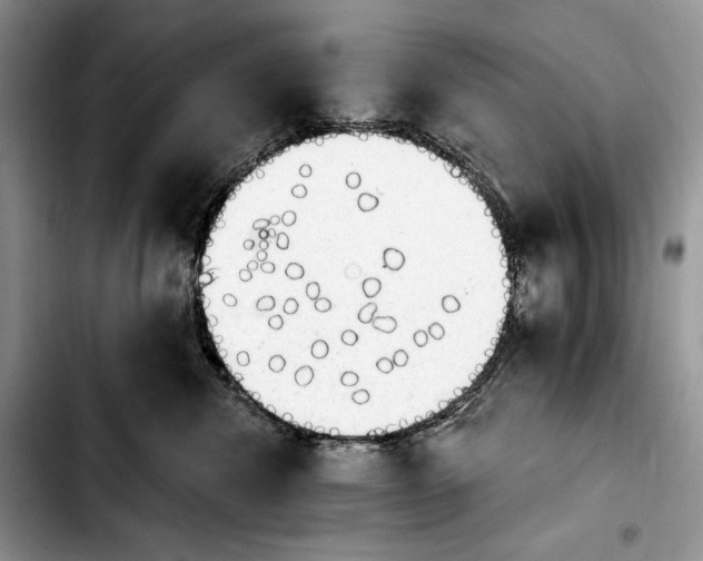 X0000103910476200810101312