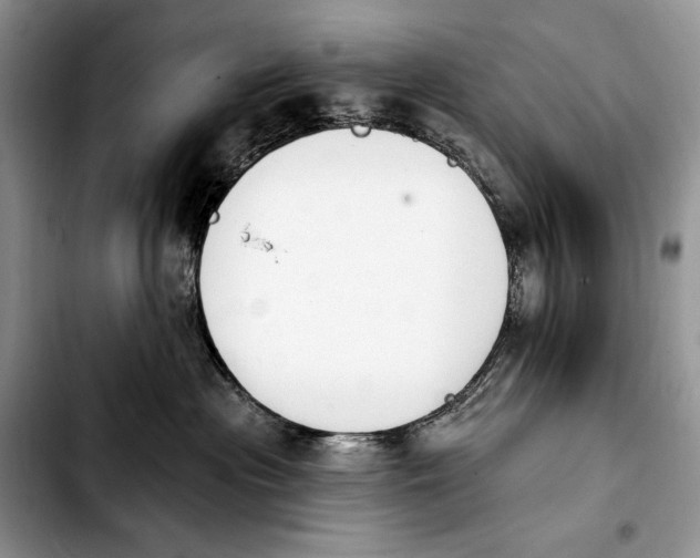 X0000103910477200810101312