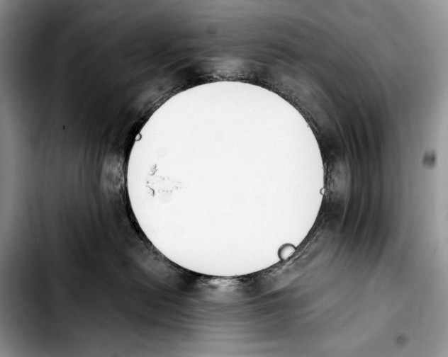X0000103910478200810101312