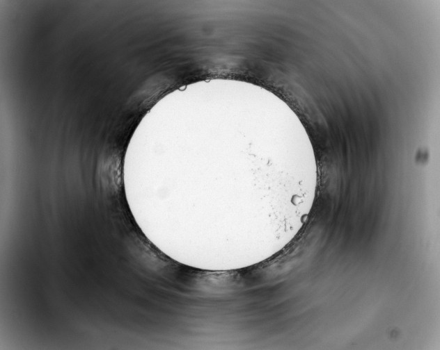 X0000103910479200810101312