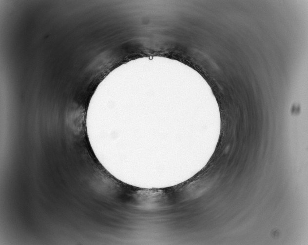 X0000103910480200810101312