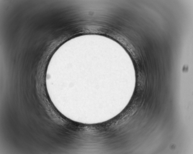 X0000103910481200810101311
