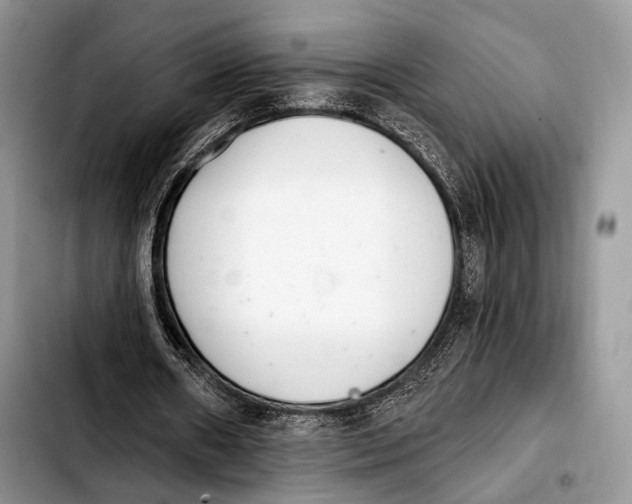 X0000103910482200810101311