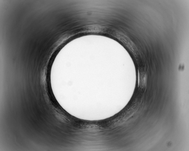 X0000103910483200810101311