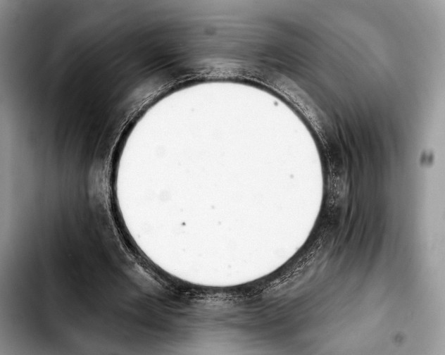 X0000103910485200810101311