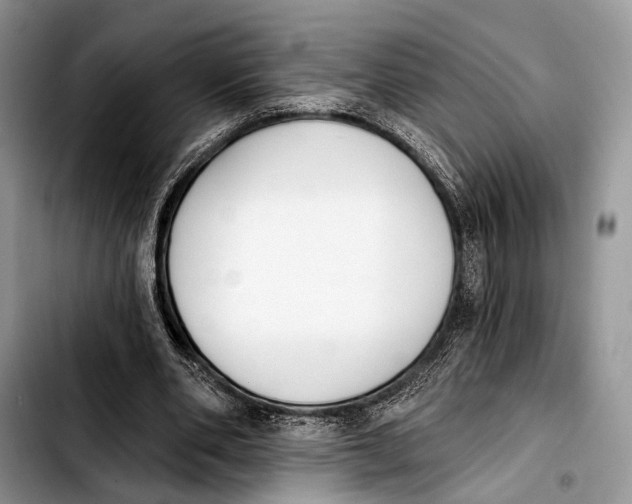 X0000103910486200810101311