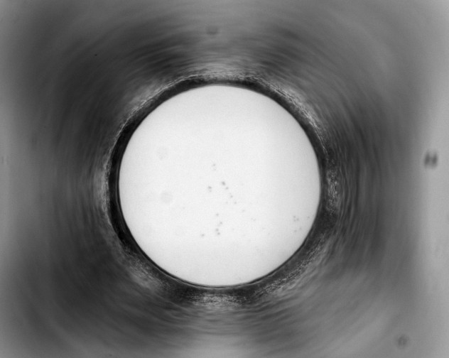X0000103910487200810101311