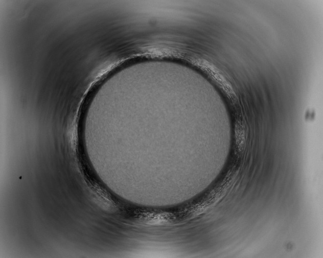X0000103910488200810101311