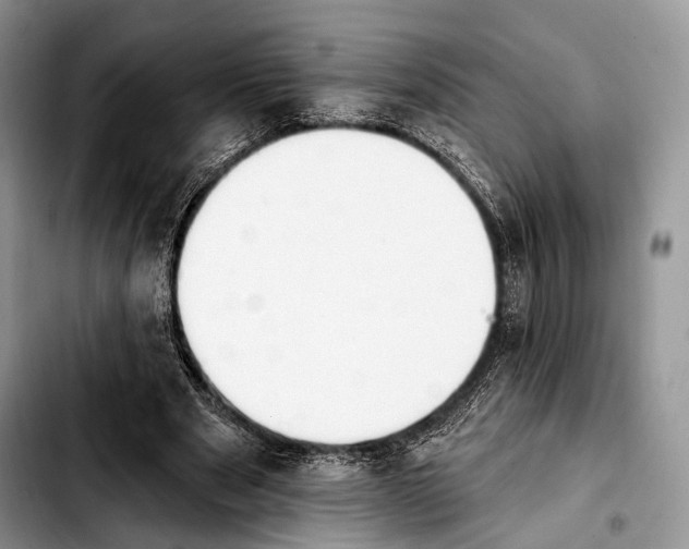 X0000103910489200810101311