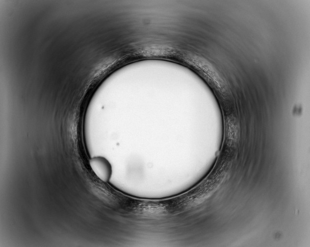X0000103910491200810101311