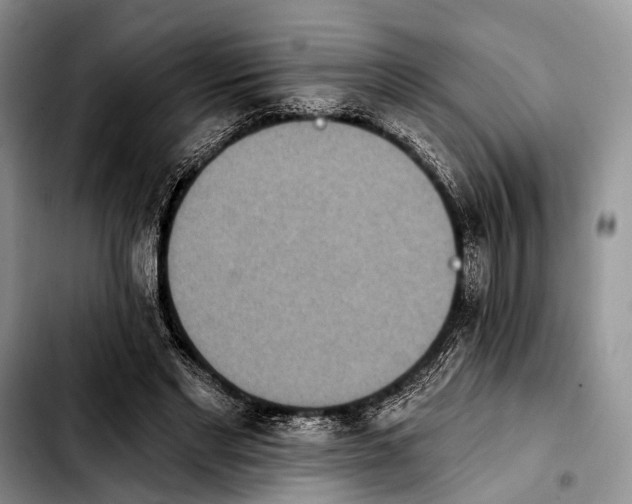 X0000103910493200810101311