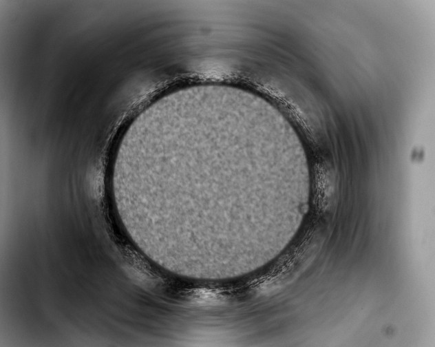 X0000103910496200810101311