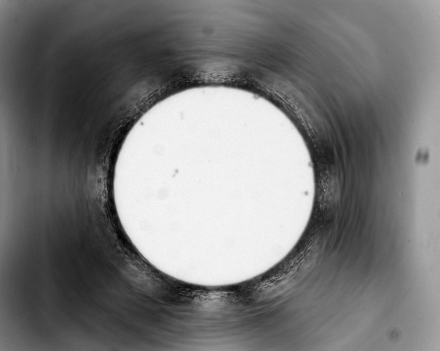 X0000103910497200810101311