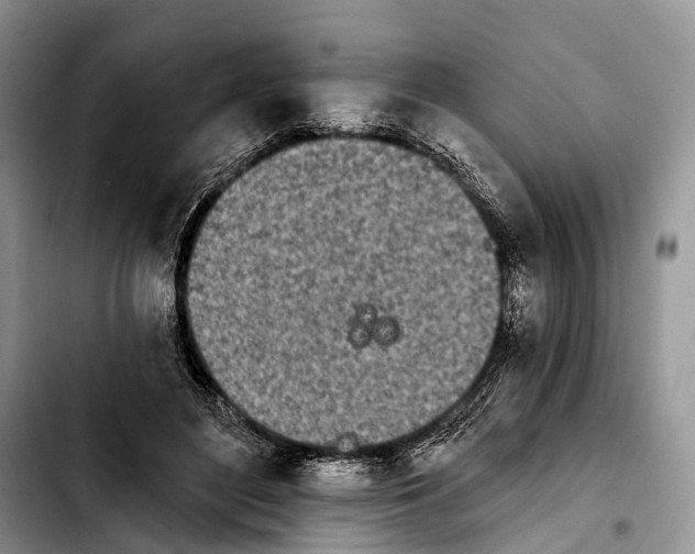 X0000103910500200810101311