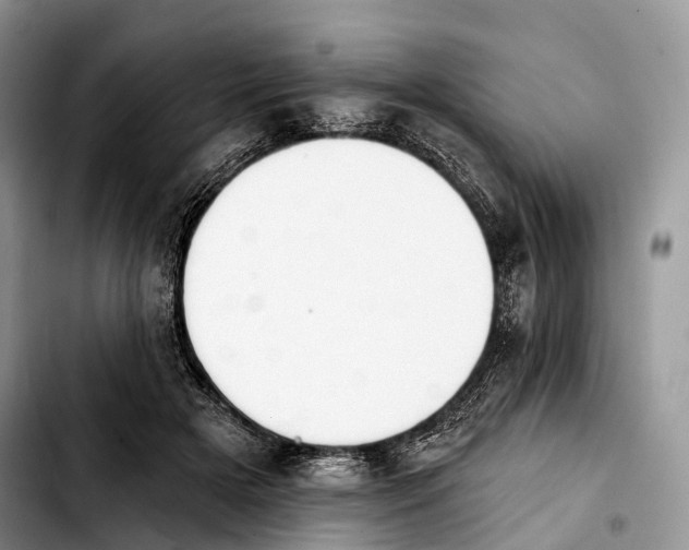 X0000103910505200810101311
