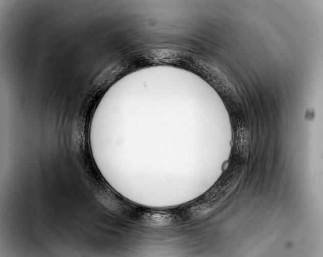 X0000103910506200810101311