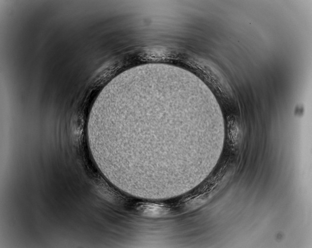 X0000103910507200810101311