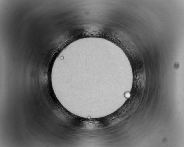 X0000103910508200810101311