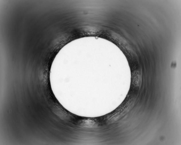 X0000103910509200810101311