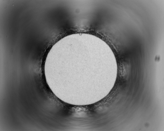 X0000103910512200810101311
