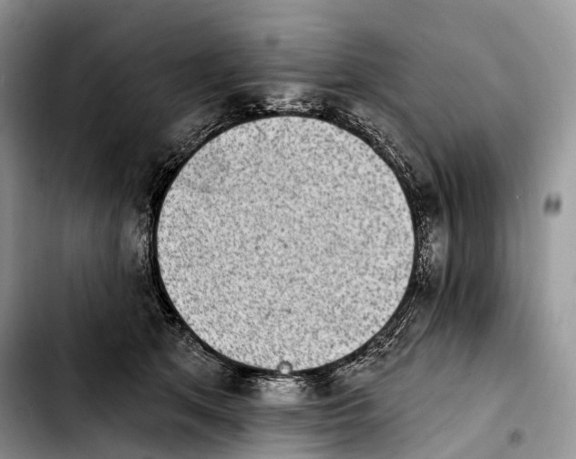 X0000103910513200810101311