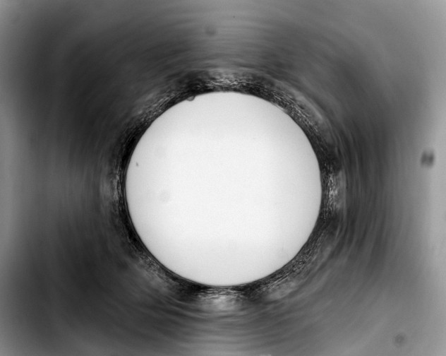 X0000103910514200810101311