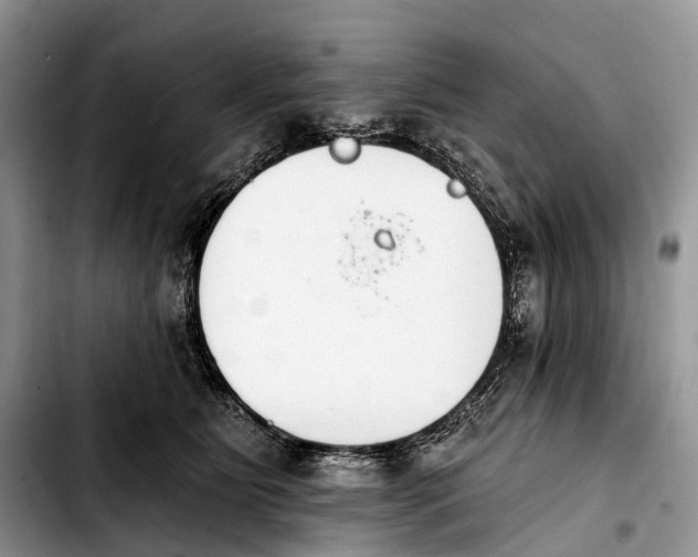X0000103910515200810101311