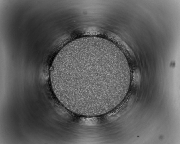 X0000103910517200810101311