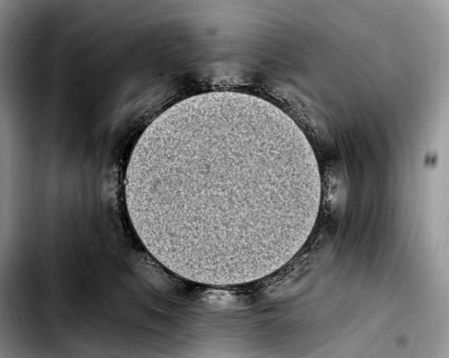 X0000103910519200810101310