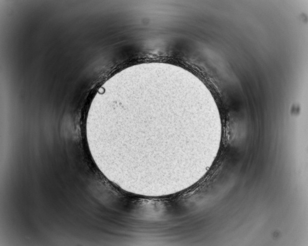 X0000103910520200810101310