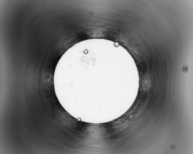 X0000103910521200810101310