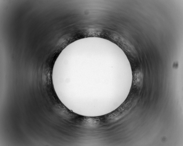 X0000103910522200810101310