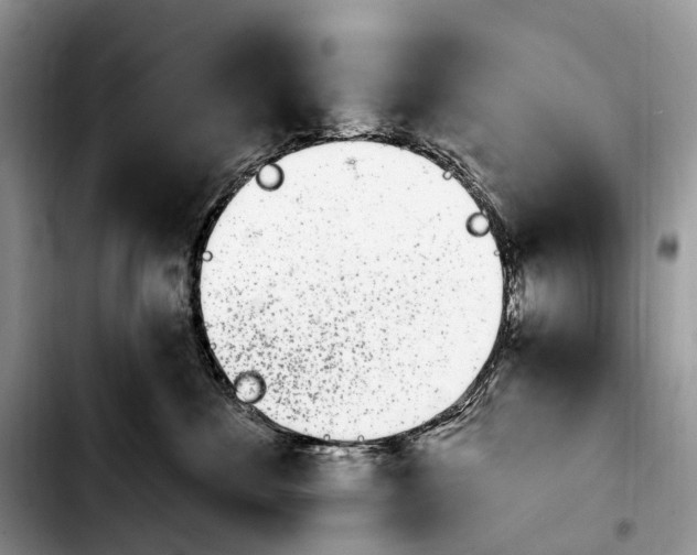X0000103910524200810101310